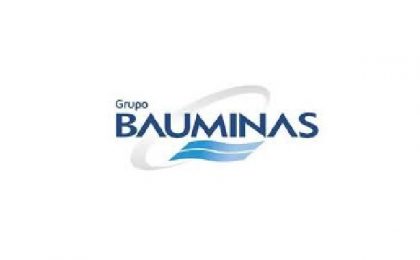 jobs Bauminas Group