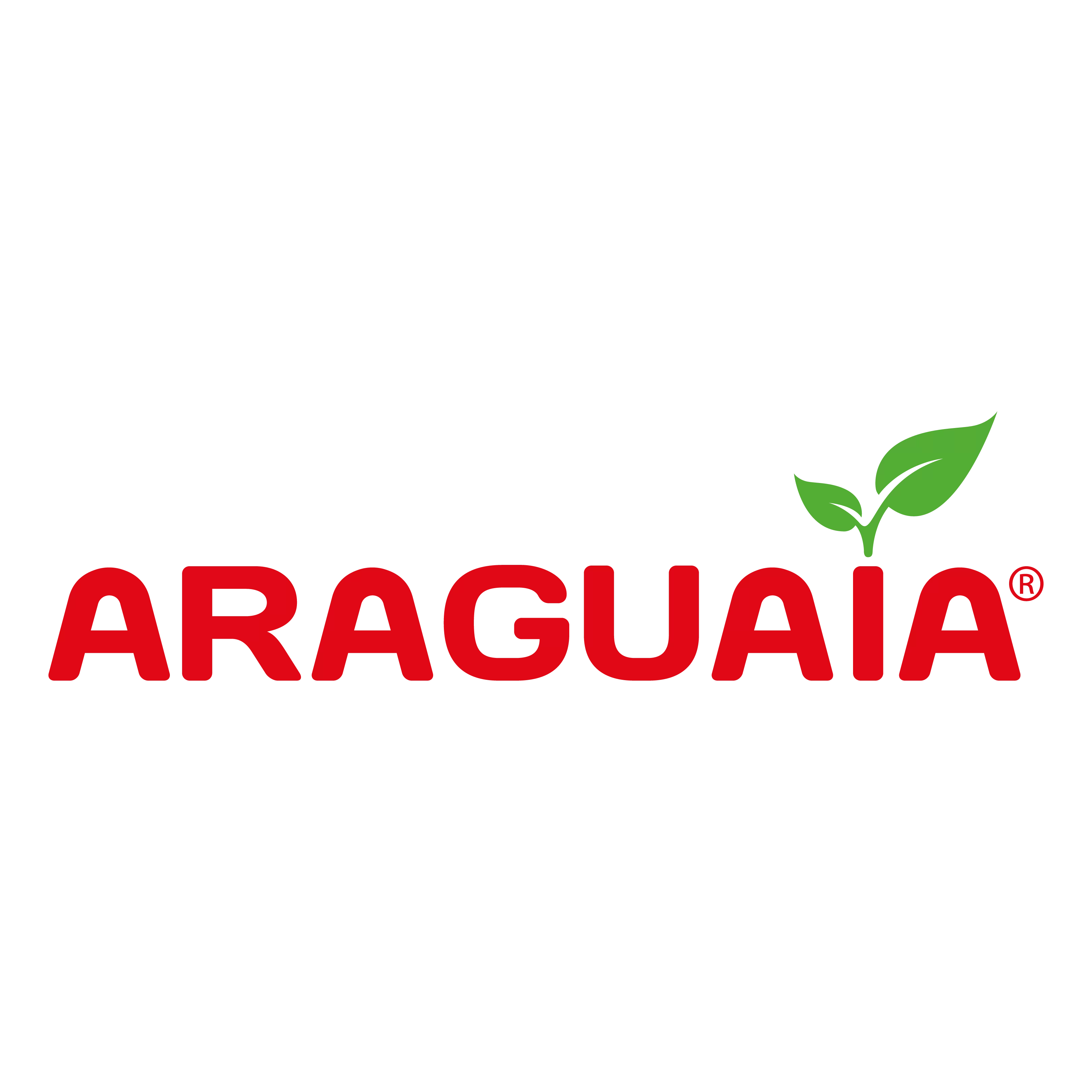 Production Operator, Sales Promoter, Occupational Safety Technician, Mechanic, Administrative Assistant and much more at Araguaia Company