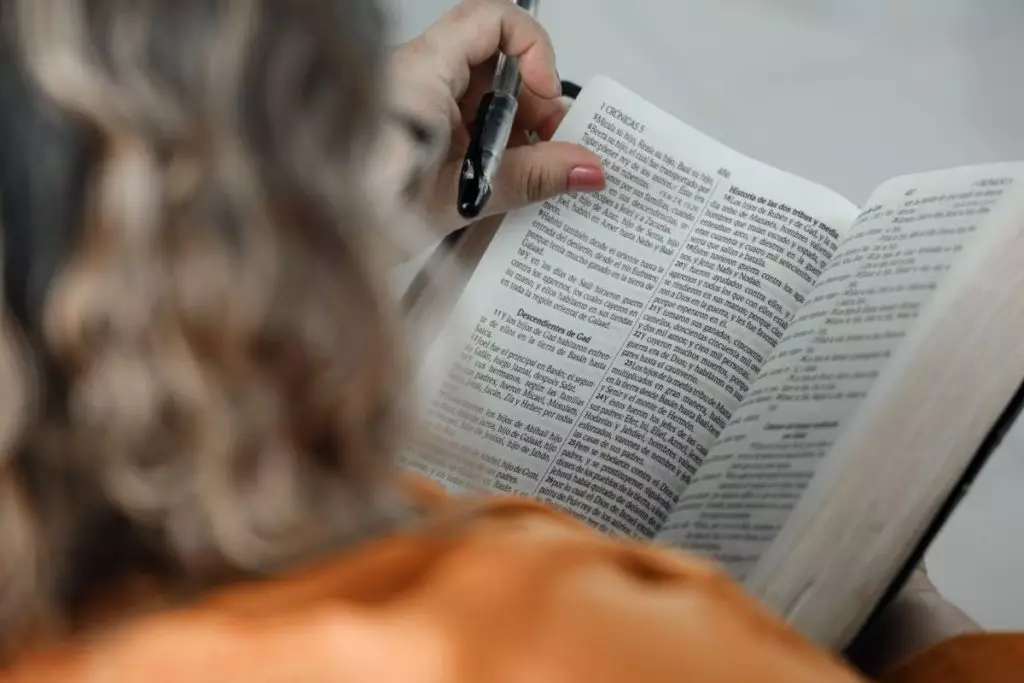 read Bible online