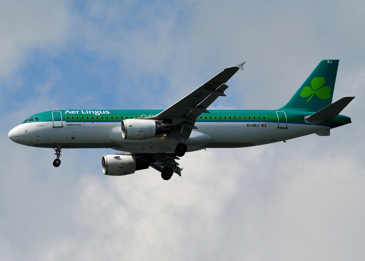 Aer Lingus: Irish airline hires staff